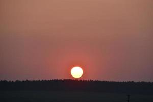 la boule rouge du soleil à l'horizon du coucher du soleil le soir et les branches des arbres. photo