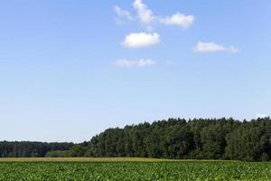 paysage avec ciel photo