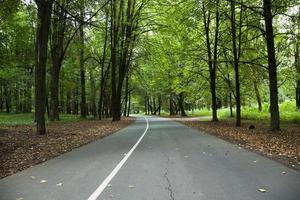 route d'automne, automne photo