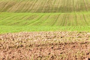 domaine agricole en europe photo