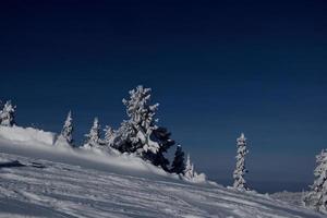 matin d'hiver ensoleillé dans les montagnes de sheregesh sur la piste de ski photo