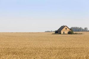 la maison est sur le terrain photo