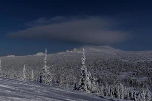 matin d'hiver ensoleillé dans les montagnes de sheregesh sur la piste de ski photo