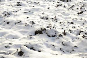 terre couverte de neige, gros plan photo