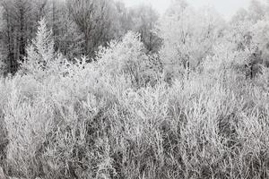 congères de neige en hiver photo