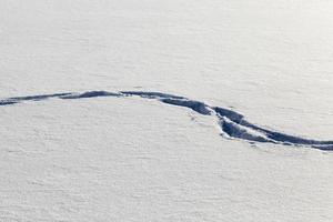 traces d'une personne photo