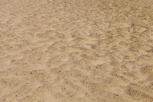 sable ondulé, gros plan photo