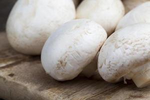 champignon de champignons non lavés pendant la cuisson photo