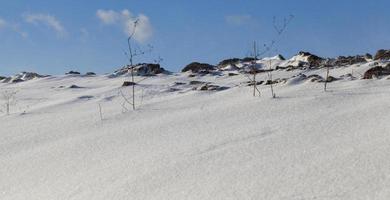 neige en hiver photo