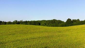 colline forêt et champ photo