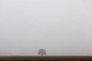 route brumeuse en automne par temps brumeux photo