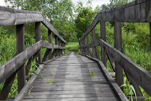 vieux pont en bois construit sur le lac photo