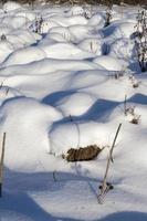 l'herbe en grandes congères après les chutes de neige et les blizzards, l'hiver photo