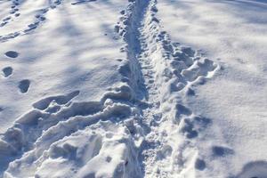 congères après les chutes de neige en hiver photo