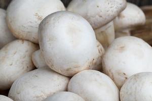 champignon de champignons non lavés pendant la cuisson photo