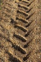 traces sur le sable après la pluie photo