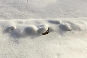 neige en hiver gelée et froide, nature après les chutes de neige photo