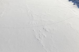 grandes congères après les chutes de neige et les blizzards, l'hiver photo