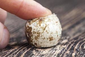 Oeuf de caille à la coque sur une table en bois photo