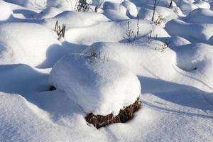 neige en hiver gelée et froide, nature après les chutes de neige photo