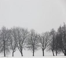 l'hiver dans la neige photo