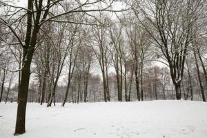 heure d'hiver, parc photo