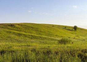 colline d'herbe verte photo