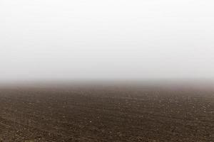 champ dans le brouillard, gros plan photo