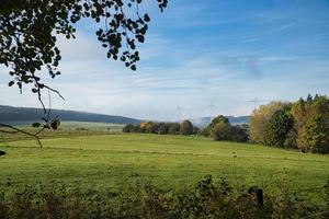 dans les forêts de la Sarre, les prairies et les arbres solitaires à l'aspect d'automne. photo