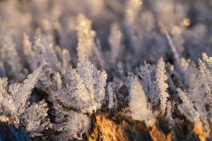 cristaux de glace qui se sont formés sur un tronc d'arbre et ont grandi.