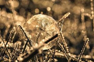 bulle de savon sur laquelle se sont formés des cristaux de glace à cause du gel. à la lumière du soleil couchant. photo