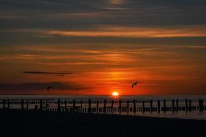 coucher de soleil à zingst à la mer. le soleil rouge orangé se couche à l'horizon. cercle de mouettes dans le ciel photo