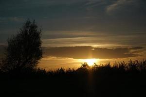 coucher de soleil avec ciel brûlant derrière les arbres. photo