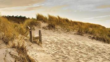 sur la plage de la mer baltique une plage traversant les dunes. Marcher sur la plage photo