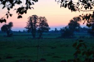 à l'aube, lever de soleil mystique avec un arbre sur le pré dans la brume. couleurs chaudes de la nature. photographie de paysage à brandebourg photo