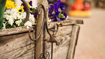 robinet comme déco à l'ancienne avec de la rouille sur un chariot en bois avec des fleurs plantées. photo