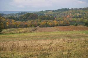 dans les forêts de la Sarre, les prairies et les arbres solitaires à l'aspect d'automne. photo