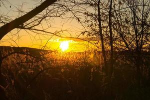 soleil couchant à la périphérie de berlin. le soleil brille à travers les arbres. photo