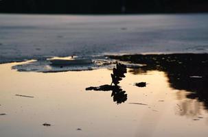 bord de glace sur un lac au coucher du soleil. photo