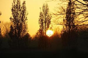 coucher de soleil avec ciel brûlant derrière les arbres. photo