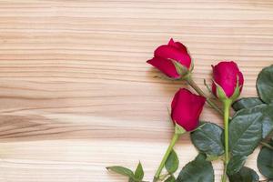 rose rouge sur une texture en bois