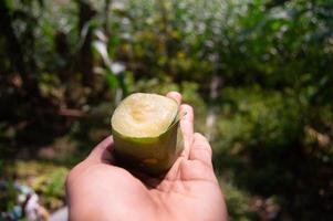 des collations sucrées à base de riz gluant avec garniture de durian que quelqu'un tient. cuisine traditionnelle indonésienne. photo