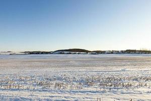 paysage en hiver photo