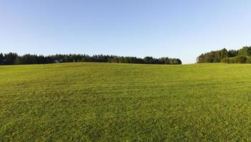 paysage d'été, champ photo