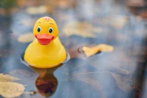 jouet de canard d'automne dans une flaque d'eau avec des feuilles photo