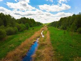 rivière forestière dans la campagne lituanienne avec une verdure immaculée au printemps et un ciel ensoleillé