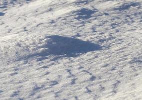 après les chutes de neige, gros plan photo