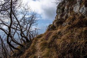 2022 02 20 chemin cogollodelcengio entre rochers et arbres photo