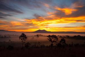 Lever du soleil du matin brumeux au parc national de thung salang luang phetchabun, tung slang luang est une savane herbeuse en thaïlande photo