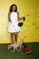 los angeles, jan 10 - kat graham au réseau cw présente les world dog awards à un barker hanger le 10 janvier 2015 à santa monica, ca photo